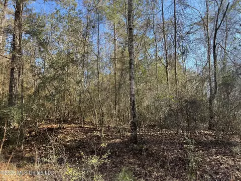 lot197 W Woodland Dr, Lumberton, MS 39455