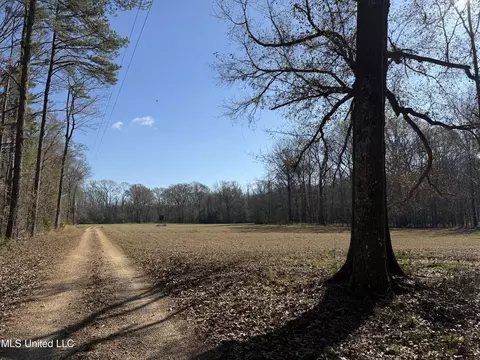 114 Huff Ln, Roxie, MS 39661