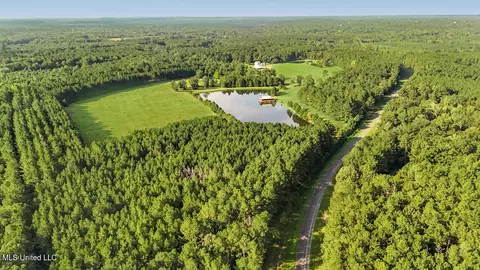 Other - 2053 Osyka Progress Rd, Osyka, MS 39657 photo 10 of 22