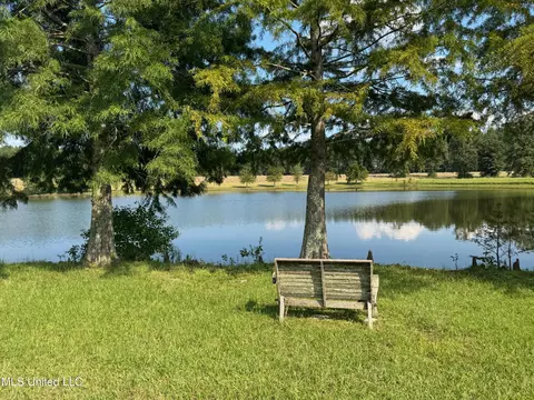 View/Area - 2053 Osyka Progress Rd, Osyka, MS 39657 photo 3 of 3