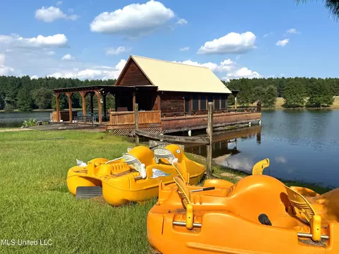 Other - 2053 Osyka Progress Rd, Osyka, MS 39657 photo 9 of 22