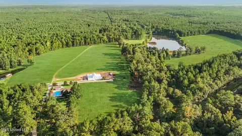 View/Area - 2053 Osyka Progress Rd, Osyka, MS 39657 photo 1 of 3