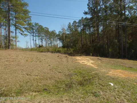 0000 C D Rayborn Rd, Jayess, MS 39641 photo 7