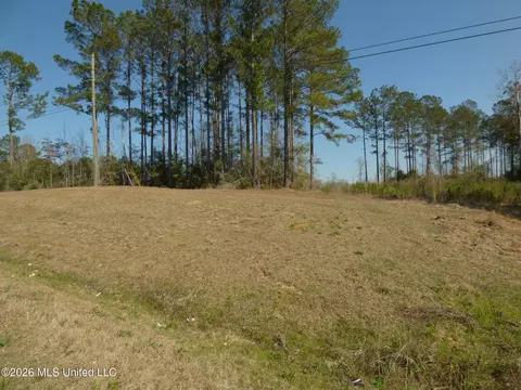 0000 C D Rayborn Rd, Jayess, MS 39641 photo 6