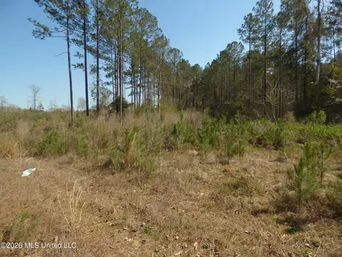 0000 C D Rayborn Rd, Jayess, MS 39641