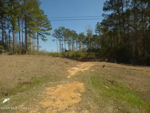 0000 C D Rayborn Rd, Jayess, MS 39641 photo 8