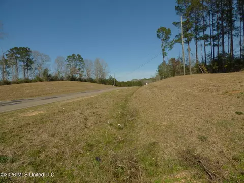 0000 C D Rayborn Rd, Jayess, MS 39641 photo 5