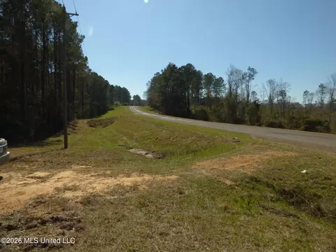 0000 C D Rayborn Rd, Jayess, MS 39641 photo 4
