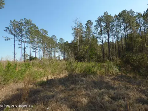 0000 C D Rayborn Rd, Jayess, MS 39641 photo 3