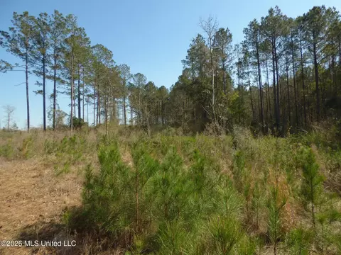 0000 C D Rayborn Rd, Jayess, MS 39641 photo 2