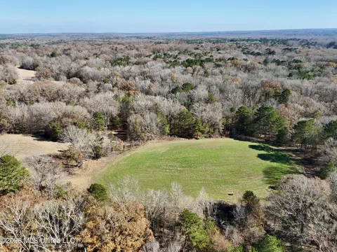00560 Pocahontas Rd, Flora, MS 39071 photo 36