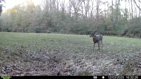 00560 Pocahontas Rd, Flora, MS 39071 photo 20