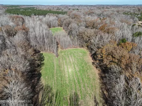 00560 Pocahontas Rd, Flora, MS 39071 photo 34