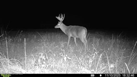 00560 Pocahontas Rd, Flora, MS 39071 photo 28