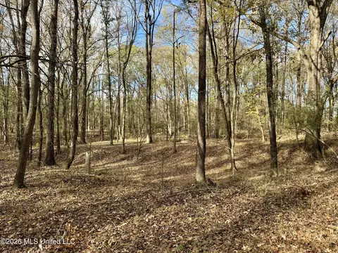00560 Pocahontas Rd, Flora, MS 39071 photo 25