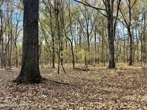 00560 Pocahontas Rd, Flora, MS 39071 photo 4