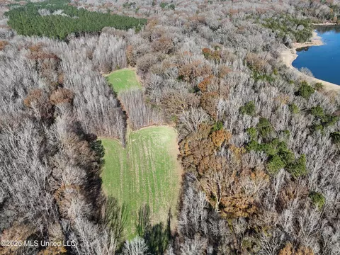 00560 Pocahontas Rd, Flora, MS 39071 photo 21
