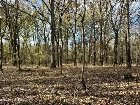 00560 Pocahontas Rd, Flora, MS 39071 photo 16
