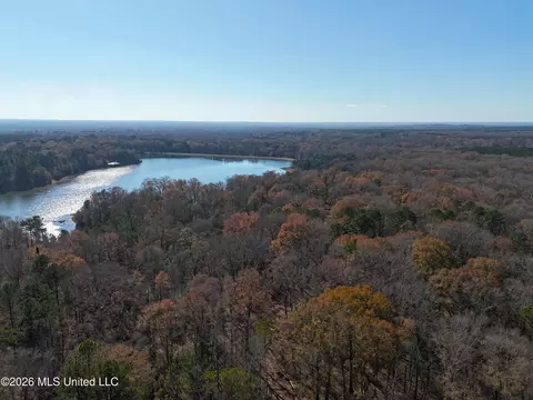 00560 Pocahontas Rd, Flora, MS 39071 photo 9