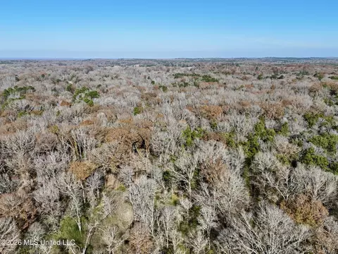 00560 Pocahontas Rd, Flora, MS 39071 photo 38
