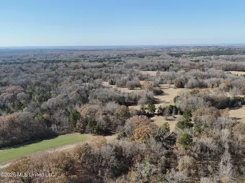 00560 Pocahontas Rd, Flora, MS 39071 photo 8