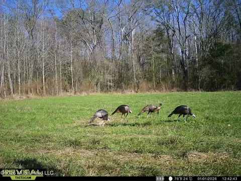 00560 Pocahontas Rd, Flora, MS 39071 photo 18