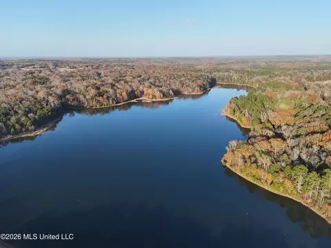 00560 Pocahontas Rd, Flora, MS 39071 photo 15
