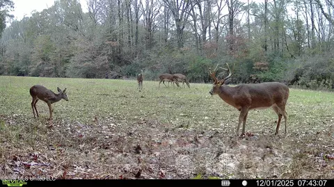 00560 Pocahontas Rd, Flora, MS 39071 photo 7