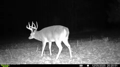 00560 Pocahontas Rd, Flora, MS 39071 photo 41