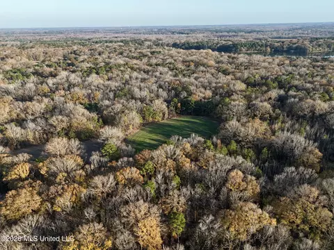 00560 Pocahontas Rd, Flora, MS 39071 photo 14