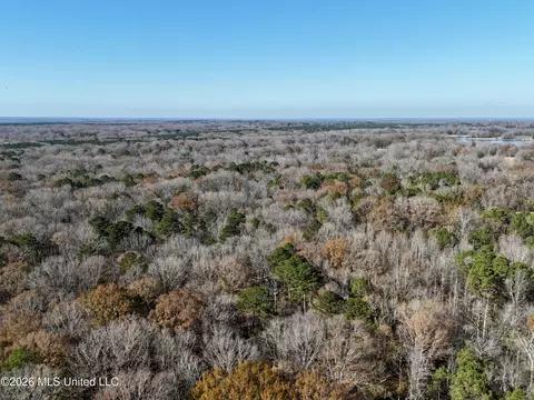00560 Pocahontas Rd, Flora, MS 39071 photo 31