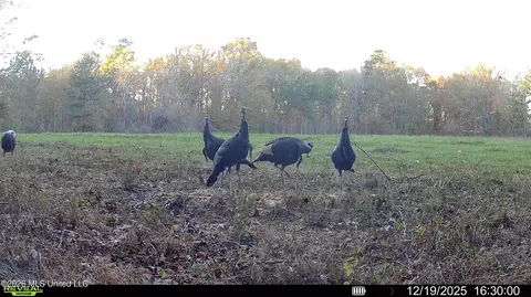 00560 Pocahontas Rd, Flora, MS 39071 photo 10