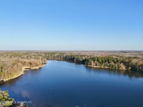 00560 Pocahontas Rd, Flora, MS 39071 photo 19