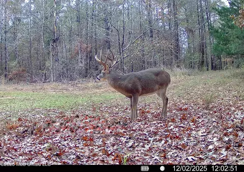 00560 Pocahontas Rd, Flora, MS 39071 photo 5