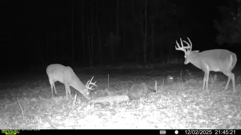 00560 Pocahontas Rd, Flora, MS 39071 photo 11
