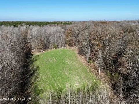 00560 Pocahontas Rd, Flora, MS 39071 photo 12