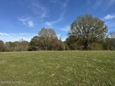 00560 Pocahontas Rd, Flora, MS 39071 photo 44