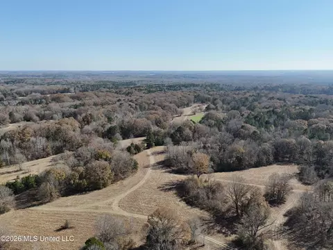 00560 Pocahontas Rd, Flora, MS 39071 photo 29