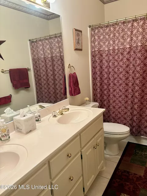 Bath - 122 Pavilion Dr, Brandon, MS 39042 photo 4 of 4