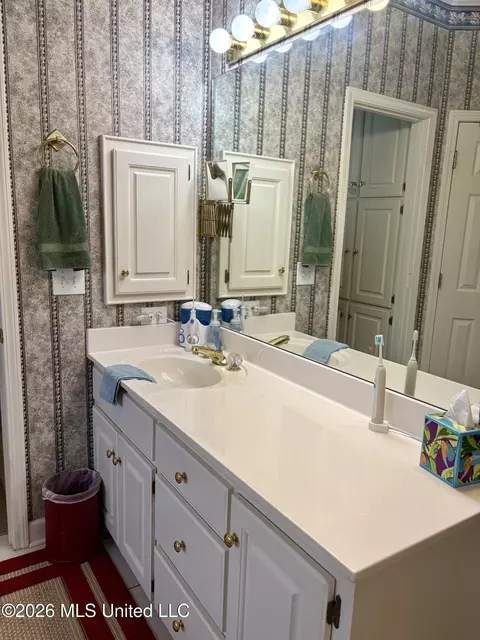 Bath - 122 Pavilion Dr, Brandon, MS 39042 photo 2 of 4