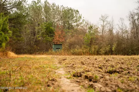 County Road 8, Laurel, MS 39443 photo 7