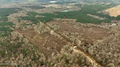 County Road 8, Laurel, MS 39443 photo 24