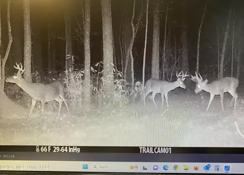 County Road 8, Laurel, MS 39443 photo 31