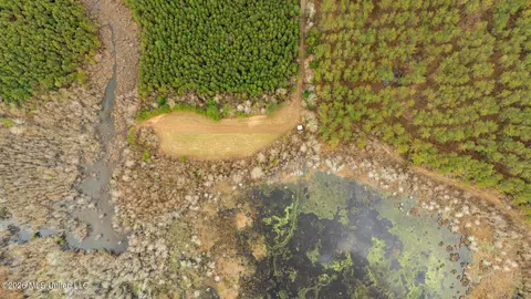 County Road 8, Laurel, MS 39443 photo 21