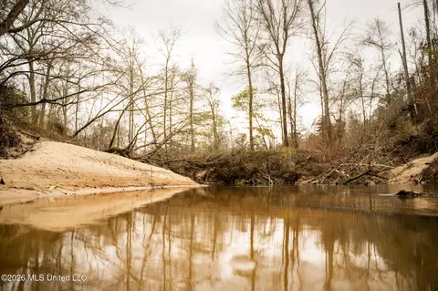 County Road 8, Laurel, MS 39443 photo 14