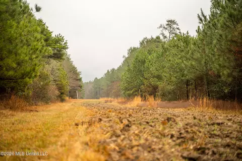 County Road 8, Laurel, MS 39443 photo 10