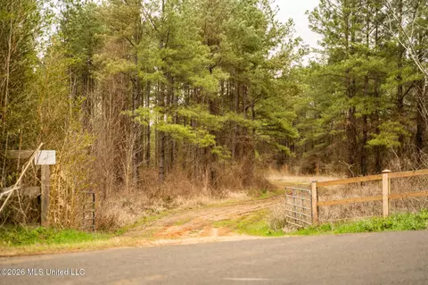 County Road 8, Laurel, MS 39443 photo 2