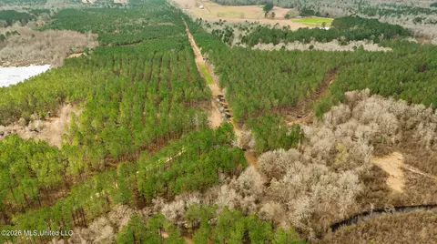 County Road 8, Laurel, MS 39443 photo 23