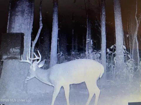 County Road 8, Laurel, MS 39443 photo 30