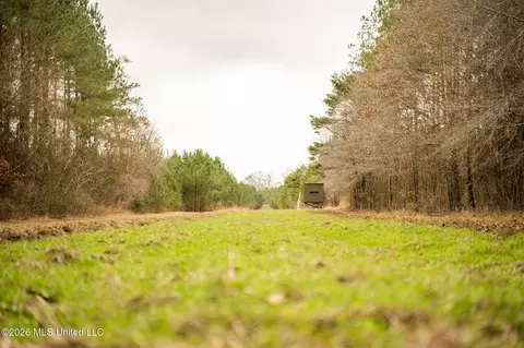 County Road 8, Laurel, MS 39443 photo 4